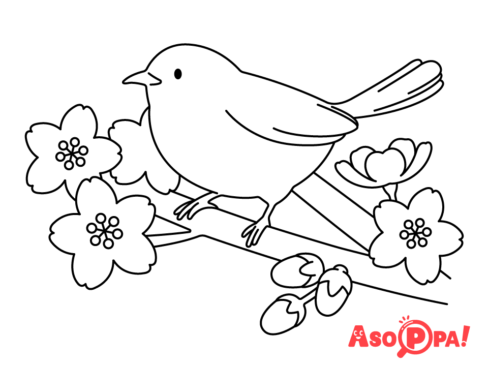 【ぬりえ（季節）】桜と鳥（春）　無料ダウンロードOKな塗り絵です