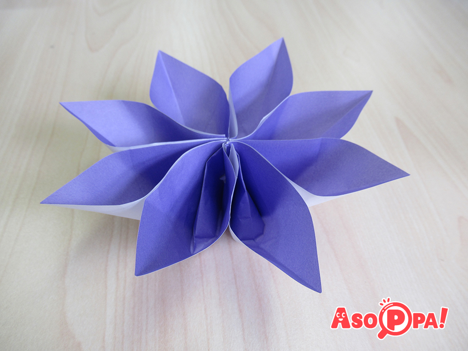 二双舟の花ａ 折り紙 動画あり Asoppa レシピ あそっぱ