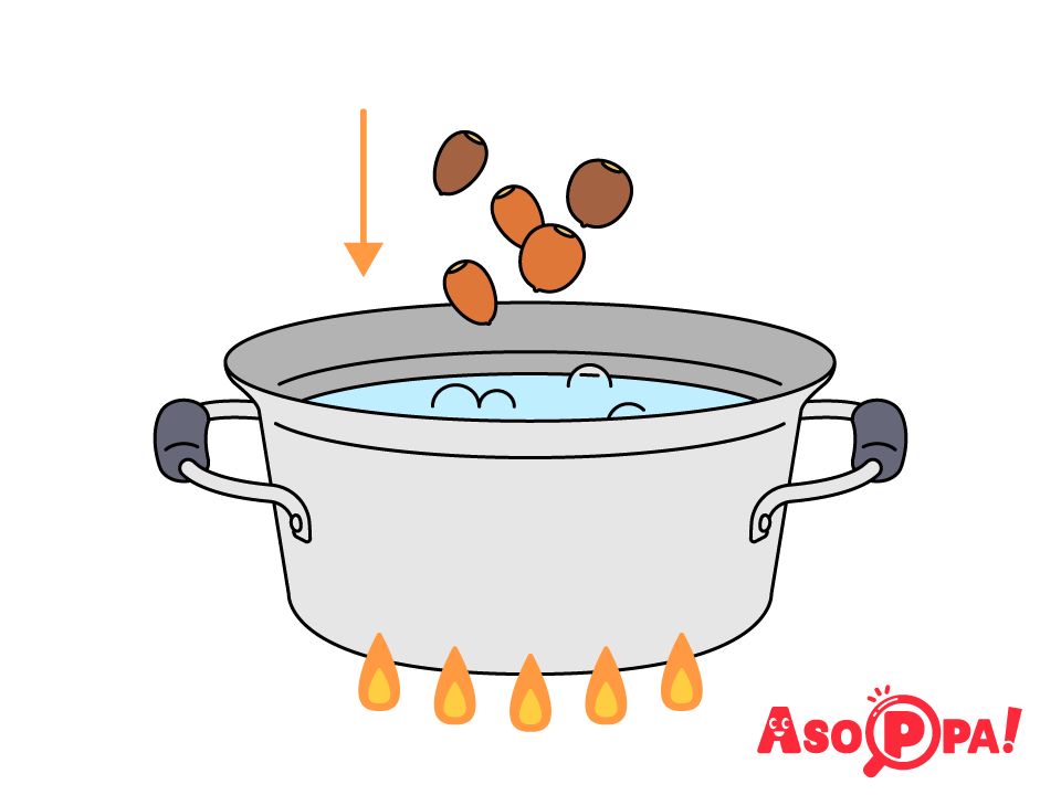 鍋にお湯を沸かし、どんぐりを入れて煮る。
時間の目安は小～中サイズで3～5分、大きいもので5～8分ほど。
※時間は様子を見ながら調整してください