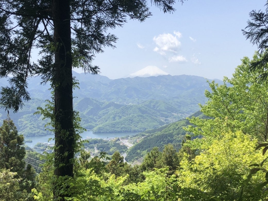 11:00
小仏峠から
10分くらいの
ところに
相模湖と富士山が
見える絶景スポット
に到着。