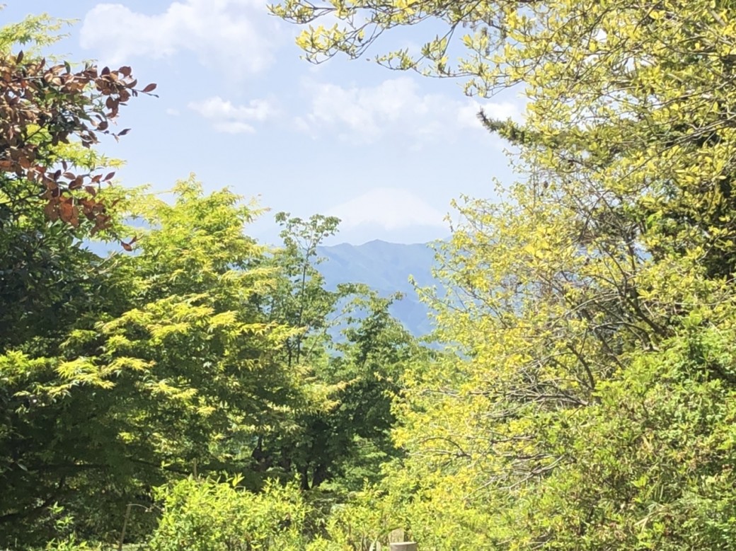 11:25
小仏城山からの
富士山、
霞掛かって
きましたね。
高尾山で
焼きおにぎり
することに。