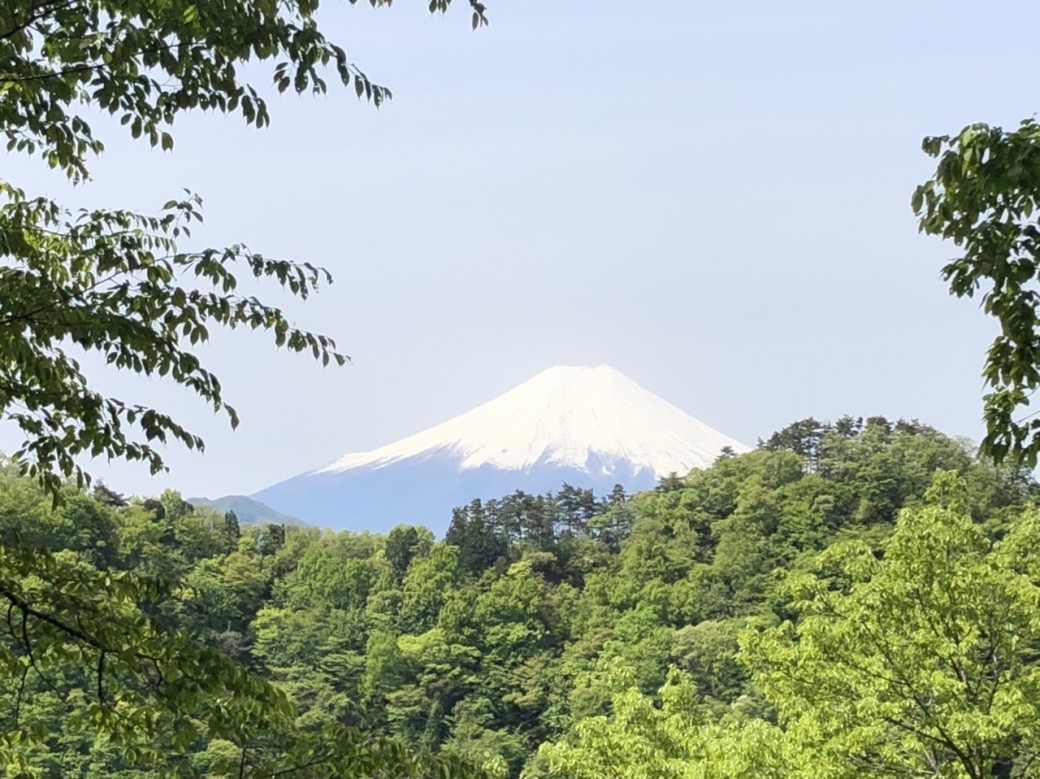 9:50
しばらくすると、
視界が
少し開ける場所に。
ご褒美ですね、
富士山の景色は。
疲れが飛びますね。