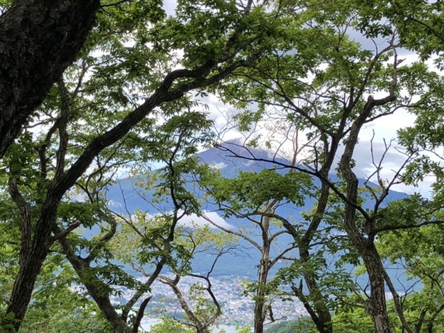 7:14くらい
富士山がご褒美。
ここまで
ダラダラと歩くので
ここらのご褒美が、
有難い。
