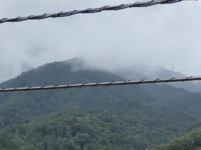 雲が掛かっている滝子山
ずっと全容が見えませんでしたね。