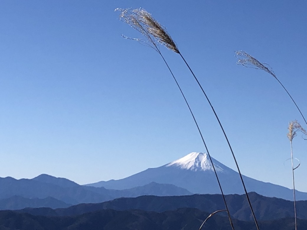 大岳山からの富士山（今日は晴れてスッキリ）
