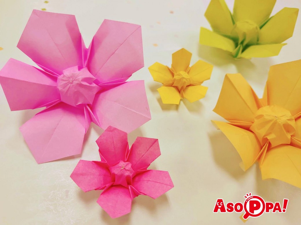 おりがみの花 花びら5枚 五弁 のオリジナル立体花 折り紙 後編 Asoppa レシピ あそっぱ