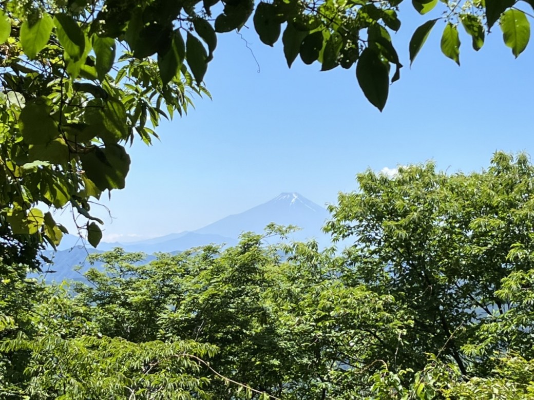 御前山からの富士山、暑い日が続きますよね