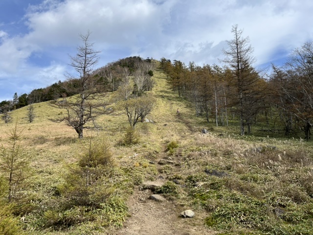 このてっぺんが笠取山。
急登です。名物みたいですね。
